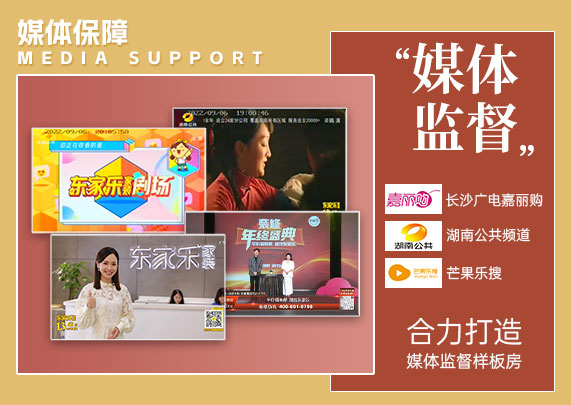 媒體監督